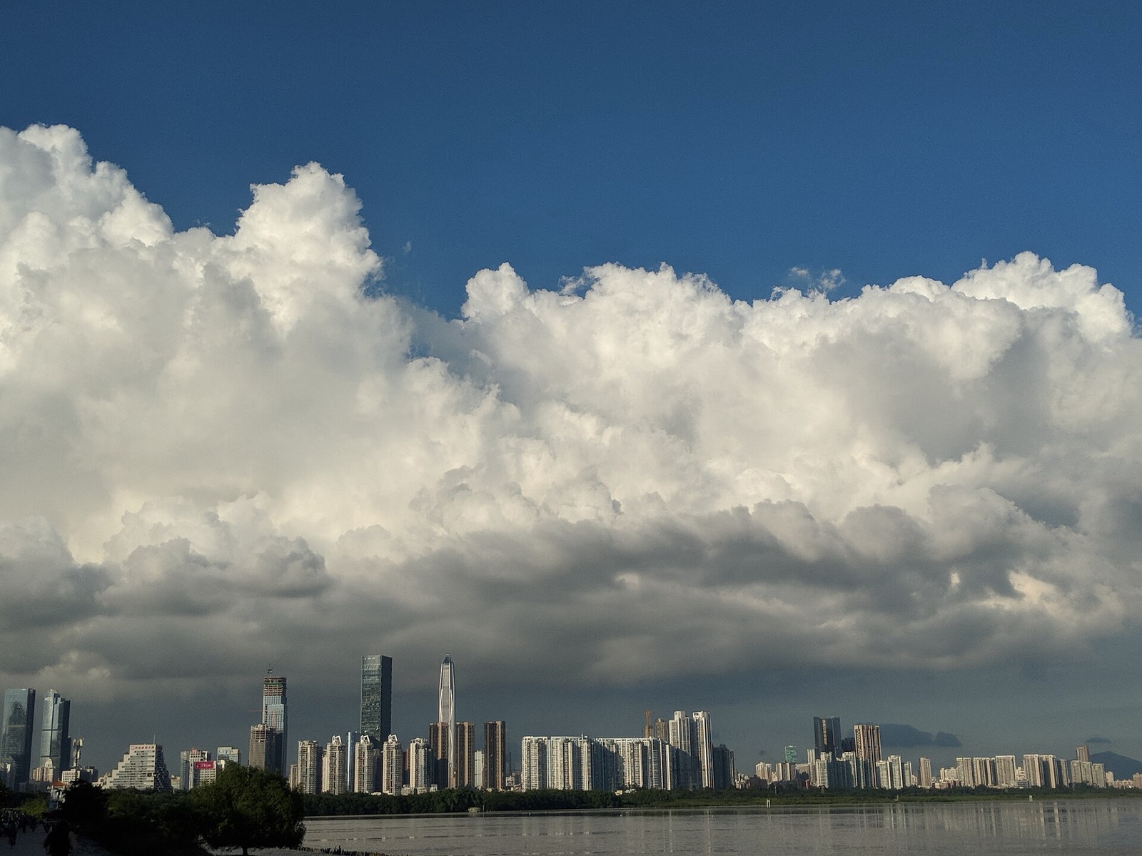 Shenzhen Bay Park, vor Berlin