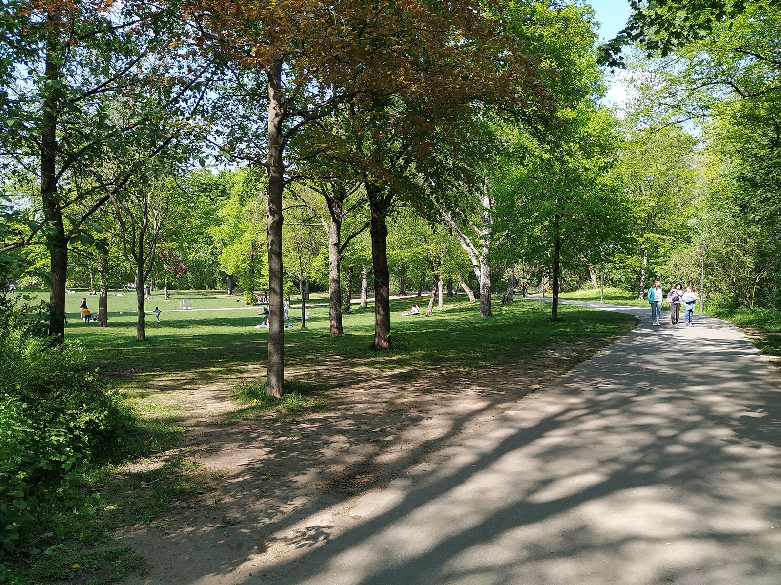 Sommerwiese im Volkspark Friedrichshain
